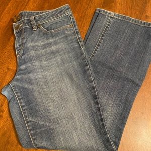 The Limited Denim Jeans